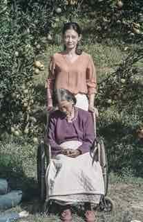 Дорогой апельсин